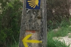 Camino Way