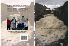 A Pennine Way Odyssey: An Account of a Journey Discovery During the Wettest British Summer on Record Paperback – 30 Nov. 2012