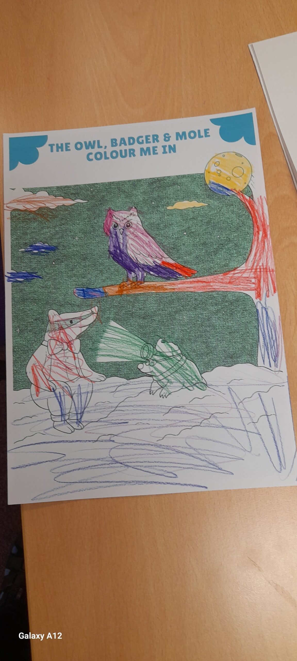 May be an illustration of text that says "THE OWL, BADGER & MOLE COLOUR ME IN Galaxy GalaxyA12 A12"