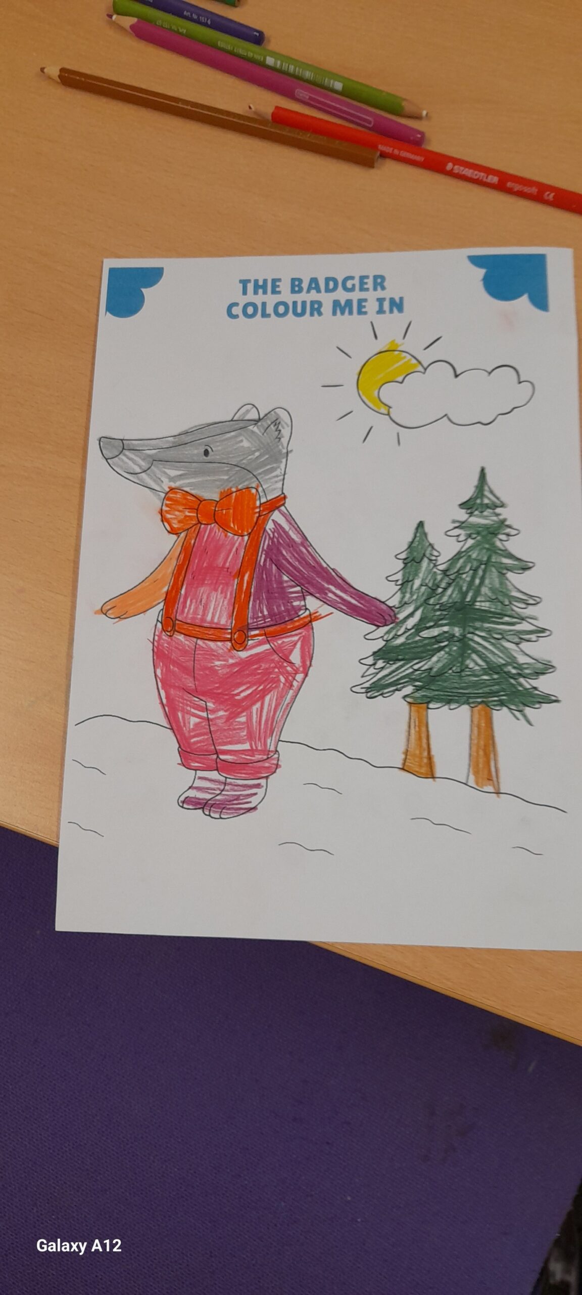 May be an illustration of pine cone and text that says "THEBADGER THE BADGER COLOUR ME COLOURMEIN IN Galaxy GalaxyA12 A12"