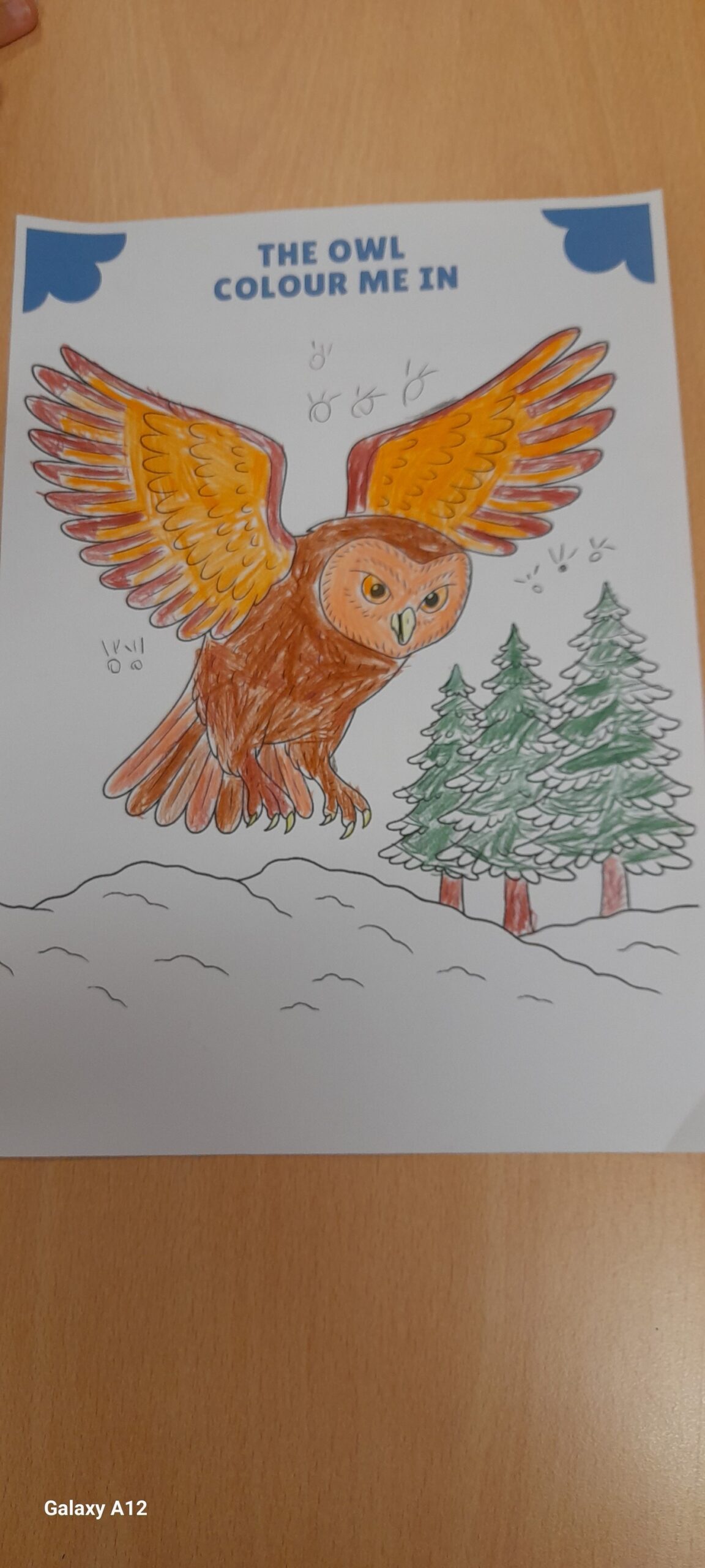 May be an image of owl, great grey owl and text that says "THEOWL THE OWL COLOUR ME COLOURMEIN IN o 2,0 wll Galaxy GalaxyA12 A12"