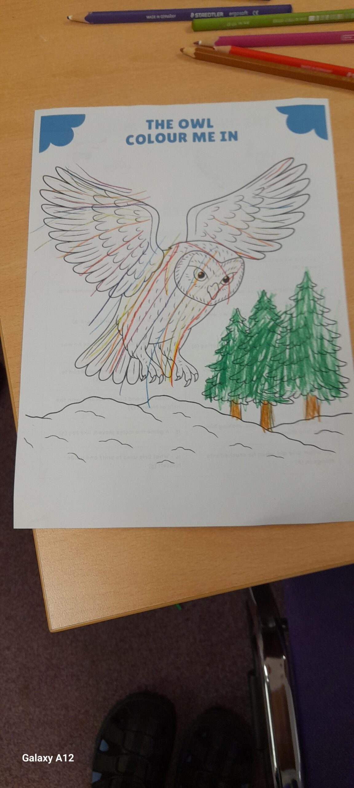 May be an image of owl and text that says "THE THEOWL OWL COLOUR COLOURMEI ME IN uis Galaxy GalaxyA12 A12"